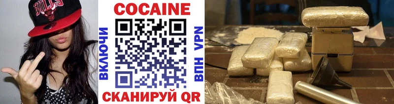 купить наркотик  Новоуральск  даркнет какой сайт  Cocaine FishScale 